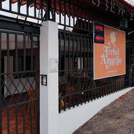 Trebol Amarillo Bed & Breakfast Escazu Bagian luar foto
